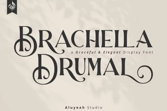[Fontbundles] Brachella Drumal Font (2021)_0.jpg